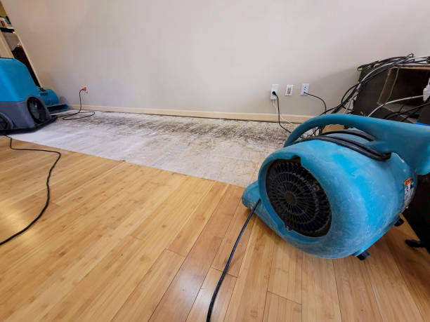 Professional Sewage Cleanup technician working in Benson, NC
